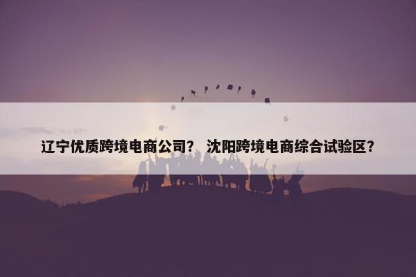 辽宁优质跨境电商公司？ 沈阳跨境电商综合试验区？