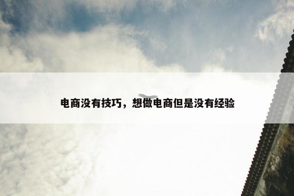 电商没有技巧，想做电商但是没有经验