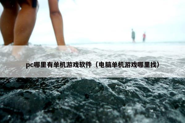 pc哪里有单机游戏软件（电脑单机游戏哪里找）