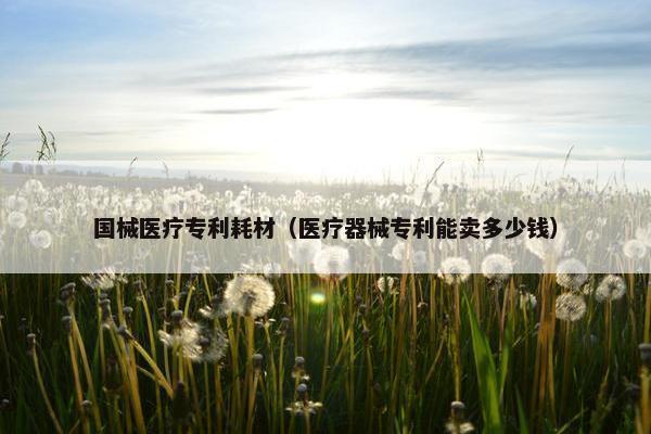 国械医疗专利耗材（医疗器械专利能卖多少钱）