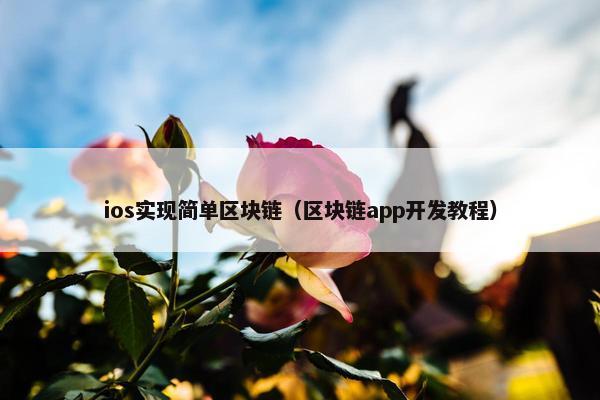 ios实现简单区块链（区块链app开发教程）