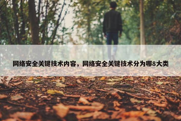 网络安全关键技术内容，网络安全关键技术分为哪8大类