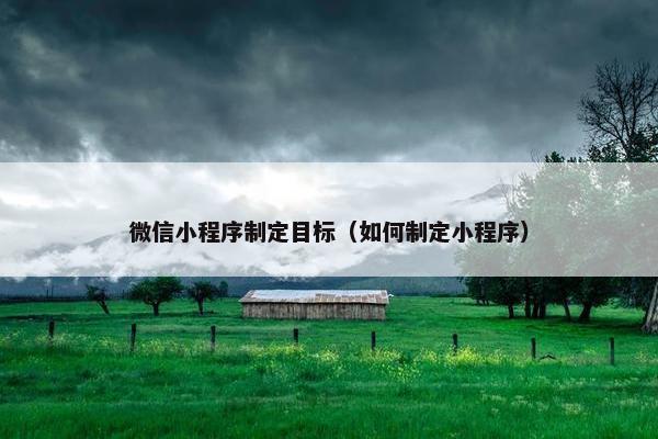 微信小程序制定目标（如何制定小程序）