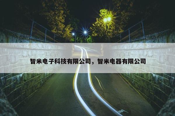 智米电子科技有限公司，智米电器有限公司