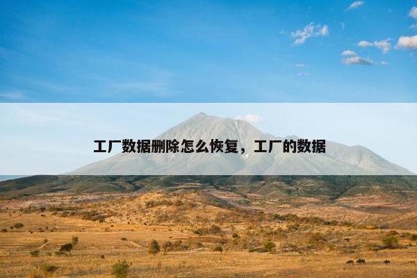 工厂数据删除怎么恢复，工厂的数据