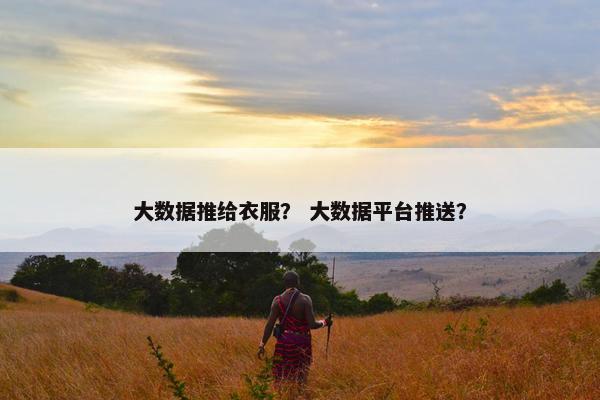大数据推给衣服？ 大数据平台推送？