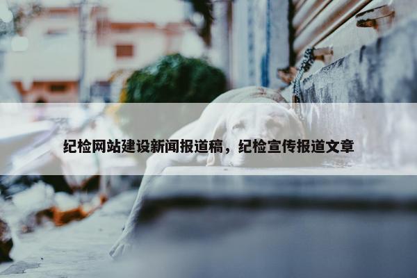纪检网站建设新闻报道稿，纪检宣传报道文章