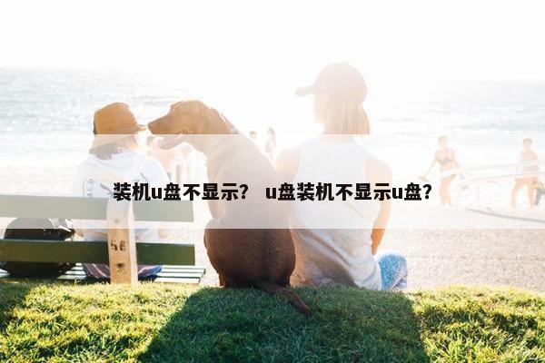 装机u盘不显示？ u盘装机不显示u盘？