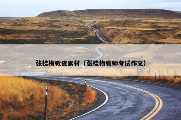 张桂梅教资素材（张桂梅教师考试作文）