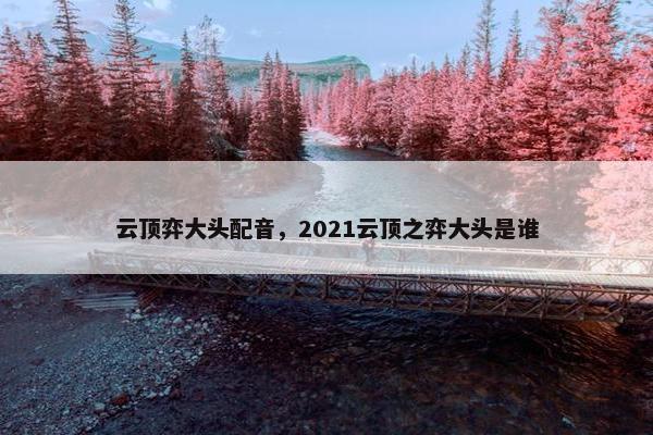 云顶弈大头配音，2021云顶之弈大头是谁