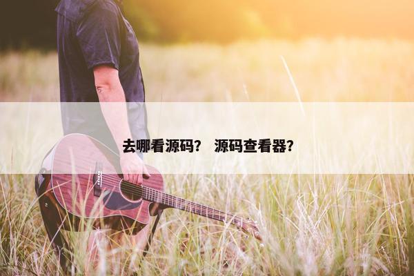 去哪看源码？ 源码查看器？