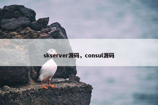 skserver源码，consul源码