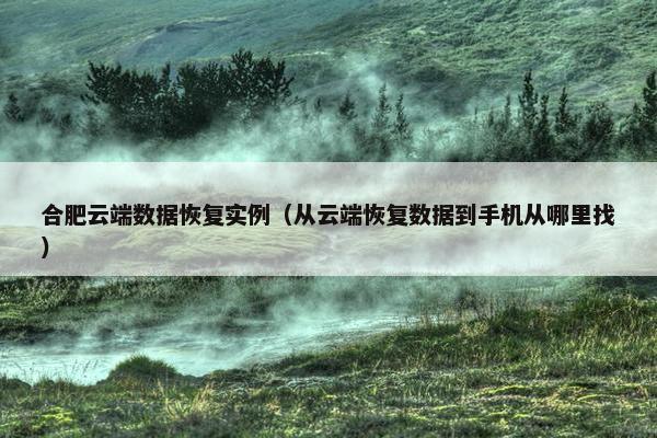 合肥云端数据恢复实例（从云端恢复数据到手机从哪里找）