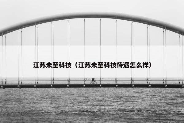 江苏未至科技（江苏未至科技待遇怎么样）