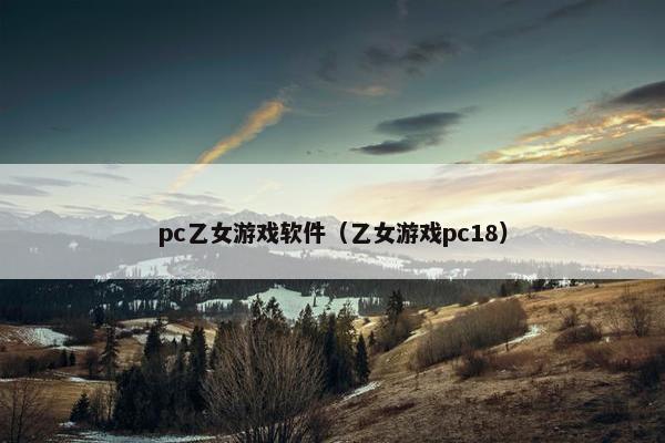 pc乙女游戏软件（乙女游戏pc18）
