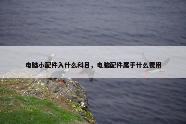 电脑小配件入什么科目，电脑配件属于什么费用