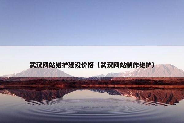 武汉网站维护建设价格（武汉网站制作维护）