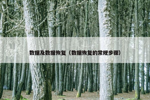 数据及数据恢复（数据恢复的常规步骤）