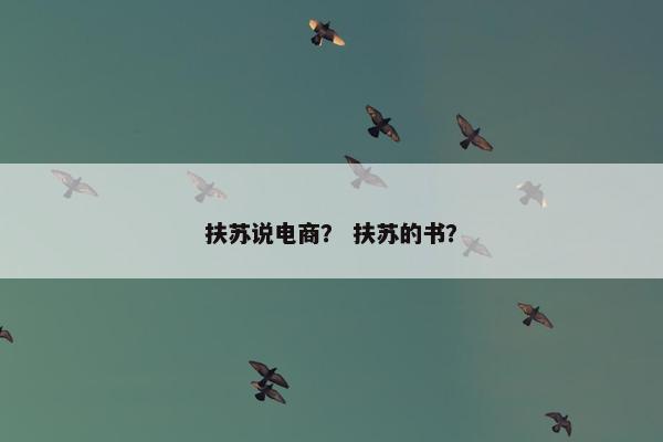 扶苏说电商？ 扶苏的书？