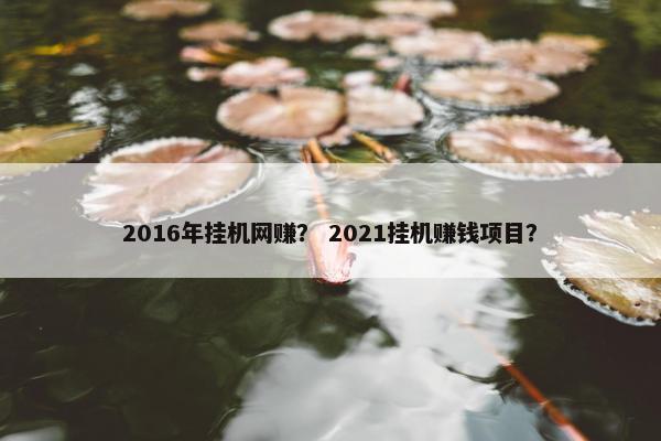 2016年挂机网赚？ 2021挂机赚钱项目？