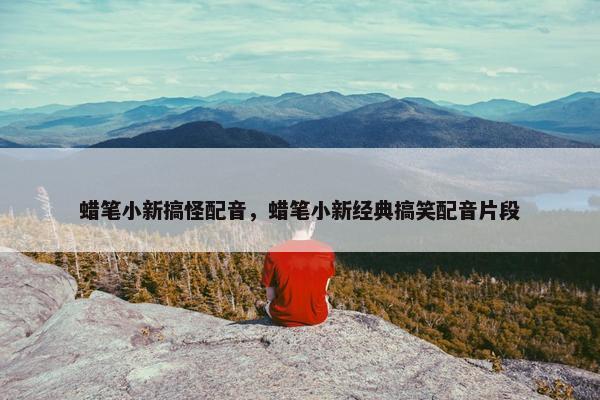 蜡笔小新搞怪配音，蜡笔小新经典搞笑配音片段