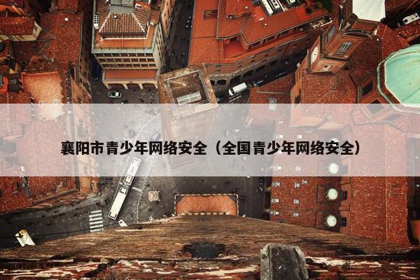 襄阳市青少年网络安全（全国青少年网络安全）