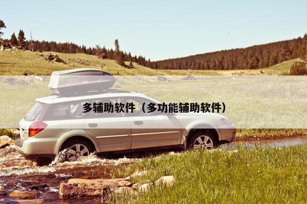 多辅助软件（多功能辅助软件）