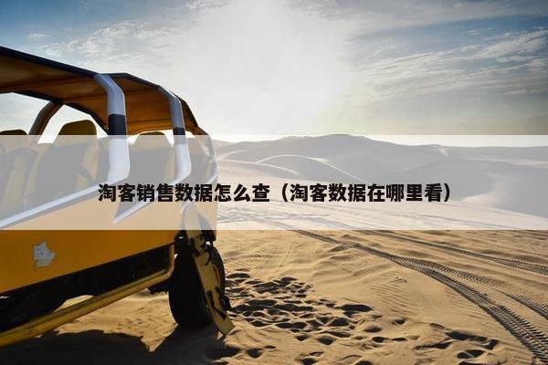 淘客销售数据怎么查（淘客数据在哪里看）