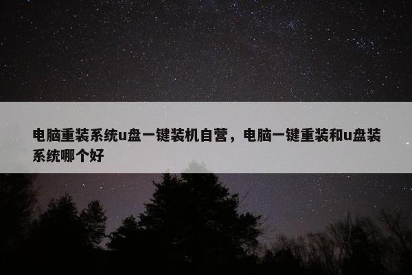 电脑重装系统u盘一键装机自营，电脑一键重装和u盘装系统哪个好