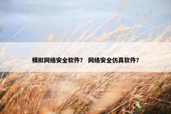 模拟网络安全软件？ 网络安全仿真软件？
