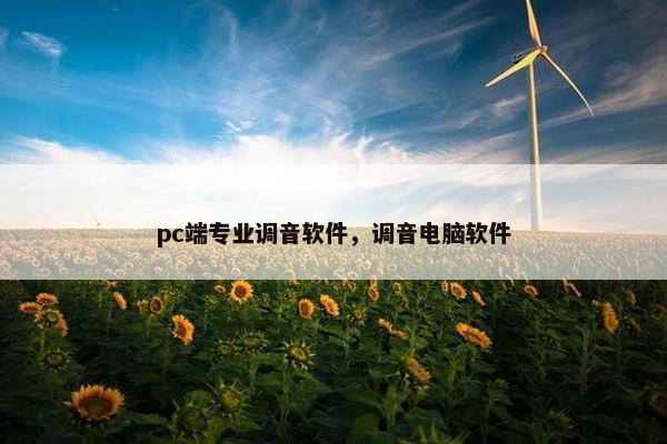 pc端专业调音软件，调音电脑软件