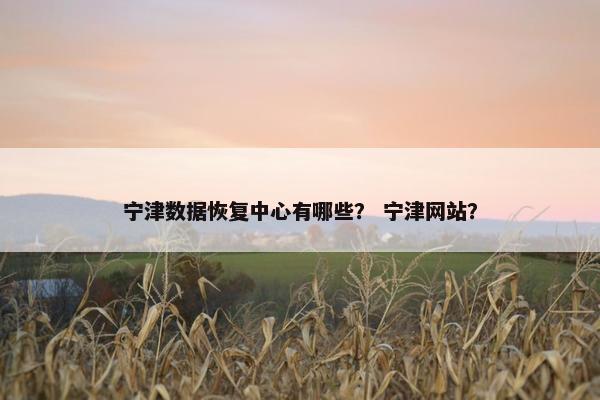 宁津数据恢复中心有哪些？ 宁津网站？