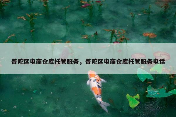 普陀区电商仓库托管服务，普陀区电商仓库托管服务电话
