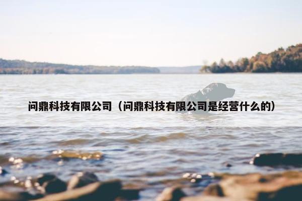 问鼎科技有限公司（问鼎科技有限公司是经营什么的）
