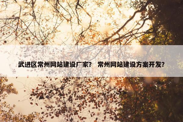 武进区常州网站建设厂家？ 常州网站建设方案开发？