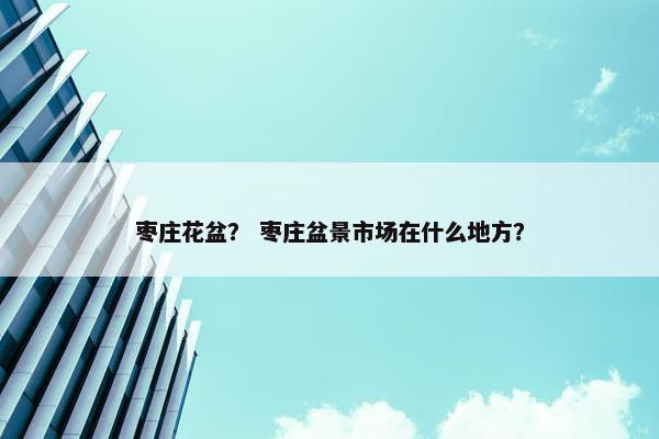 枣庄花盆？ 枣庄盆景市场在什么地方？