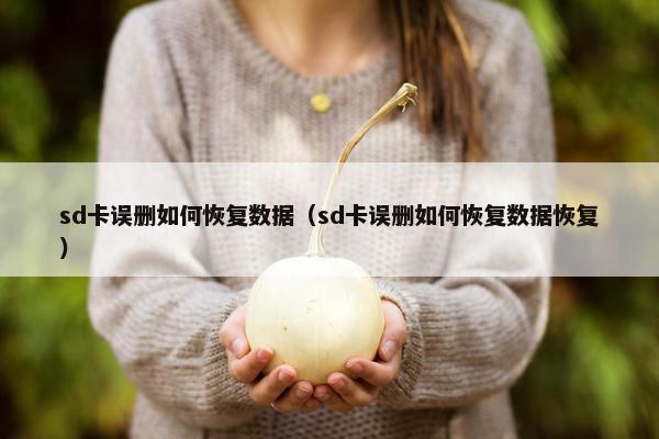 sd卡误删如何恢复数据（sd卡误删如何恢复数据恢复）