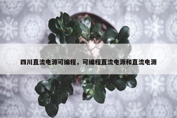 四川直流电源可编程，可编程直流电源和直流电源