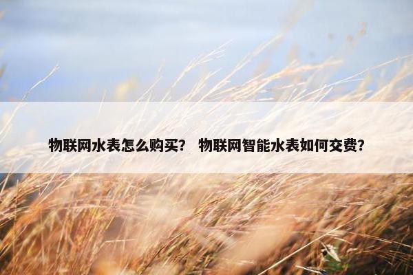 物联网水表怎么购买？ 物联网智能水表如何交费？