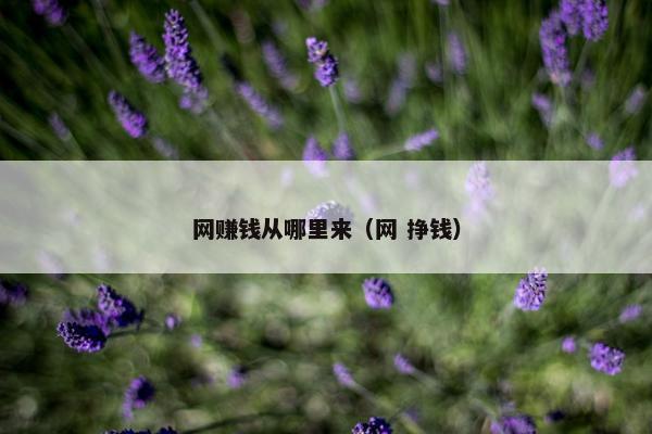 网赚钱从哪里来（网 挣钱）