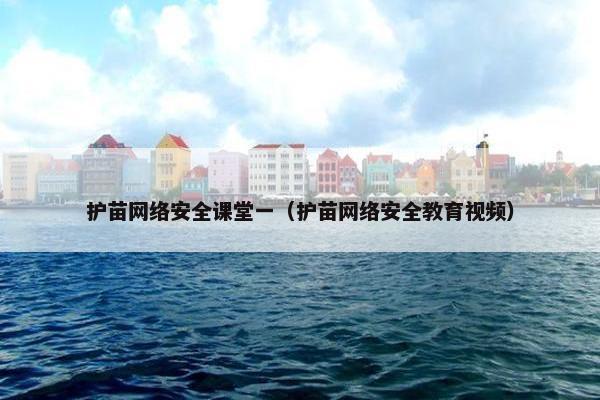 护苗网络安全课堂一（护苗网络安全教育视频）