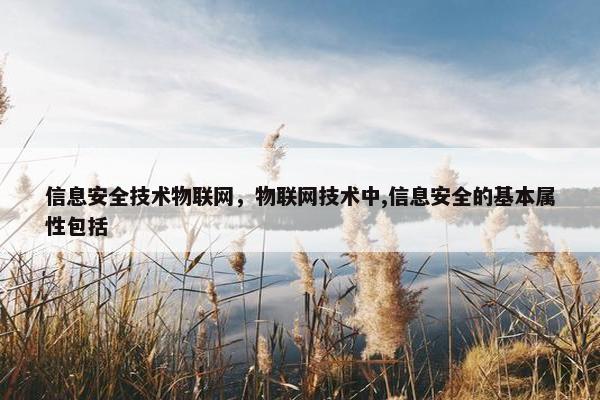信息安全技术物联网，物联网技术中,信息安全的基本属性包括