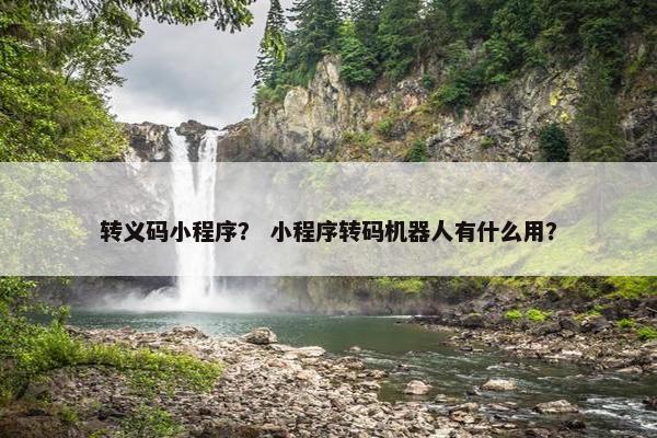 转义码小程序？ 小程序转码机器人有什么用？