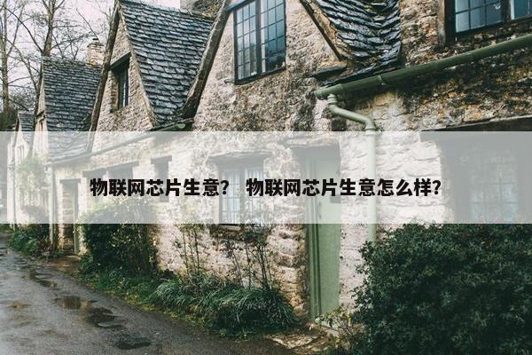 物联网芯片生意？ 物联网芯片生意怎么样？