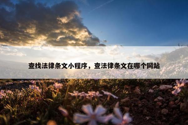查找法律条文小程序，查法律条文在哪个网站