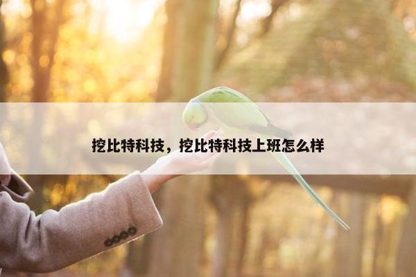 挖比特科技，挖比特科技上班怎么样