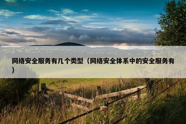 网络安全服务有几个类型（网络安全体系中的安全服务有）
