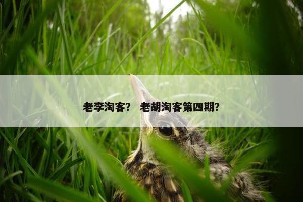 老李淘客？ 老胡淘客第四期？