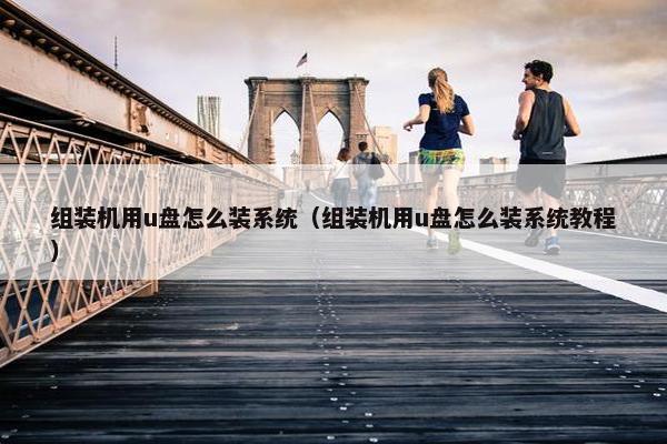 组装机用u盘怎么装系统（组装机用u盘怎么装系统教程）
