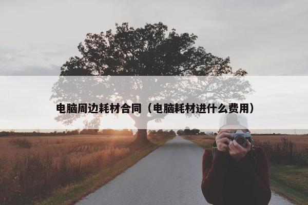 电脑周边耗材合同（电脑耗材进什么费用）